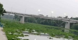 Impresionante cantidad de lirio acuático en el río Pánuco 