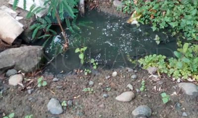 Derrame de aguas negras genera foco rojo de infección en colonia de Cerro Azul